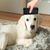 Coco Pup Brosse anti - poils pour chats et chiens Noir