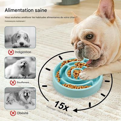 Coco Pup Gamelles  Bol anti - glouton pour chien