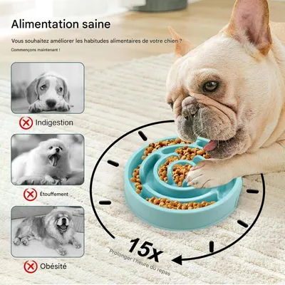 Coco Pup Gamelles  Bol anti - glouton pour chien