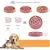 Coco Pup Gamelles Slow Food pour chien