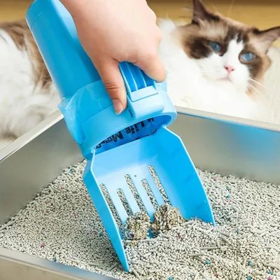 Coco Pup Bleu Pelle à Litière pour Chat avec Bac