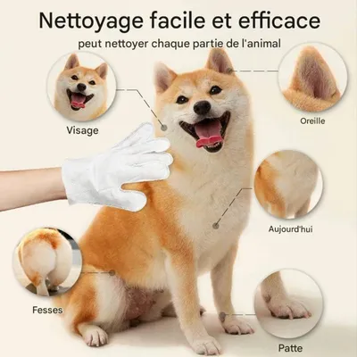 Coco Pup Lingettes nettoyantes pour chiens de Toilettage 6 gants
