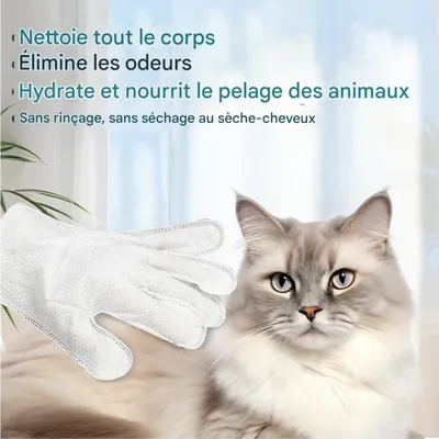 Coco Pup Lingettes nettoyantes pour chiens de Toilettage 6 gants