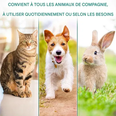 Coco Pup Lingettes nettoyantes pour chiens  des oreilles