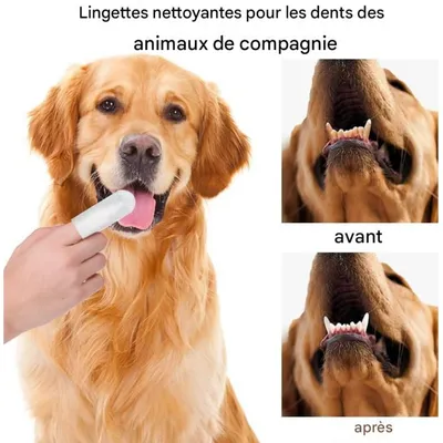 Coco Pup Gant de Toilettage pour chiens des dents Lingettes