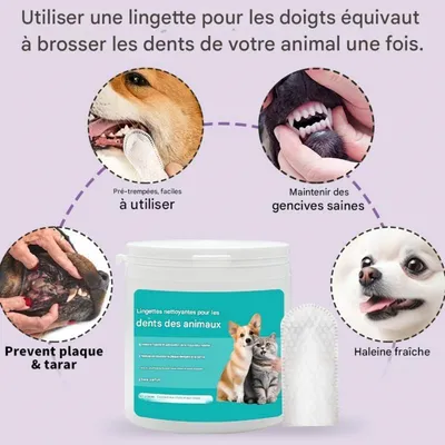 Coco Pup Gant de Toilettage pour chiens des dents Lingettes