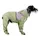 Verde, talla S