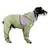 Coco Pup Impermeable para perros de cobertura total, color verde, talla S Coco Pup Impermeable para perros de cobertura total, color verde, talla S