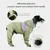 Coco Pup Impermeable para perros de cobertura total, color verde, talla S Coco Pup Impermeable para perros de cobertura total, color verde, talla S