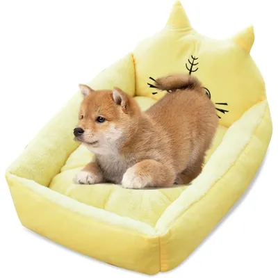 Coco Pup Lit rectangulaire pour chien 60*50*14cm