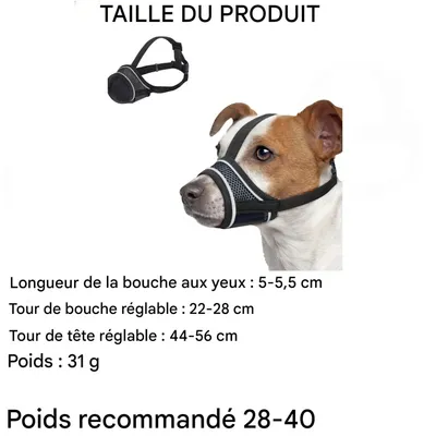 Coco Pup Muselière pour Chien Noir