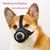 Coco Pup Muselière pour Chien Noir