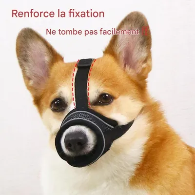 Coco Pup Muselière pour Chien Noir
