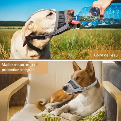 Coco Pup Muselière pour Chien Noir