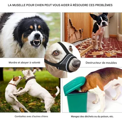 Coco Pup Muselière pour Chien Noir