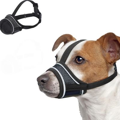 Coco Pup Muselière pour Chien Noir