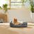 Coco Pup Lit pour Chat et Chien Rond