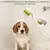 Coco Pup 2 en 1 Pomme de Douche