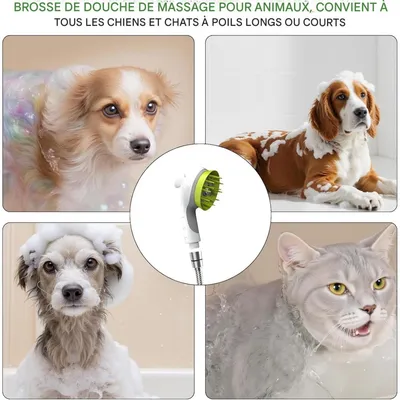 Coco Pup 2 en 1 Pomme de Douche