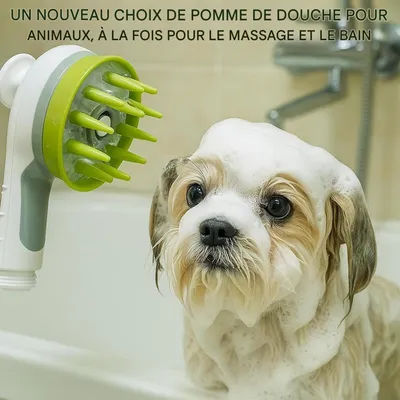 Coco Pup 2 en 1 Pomme de Douche