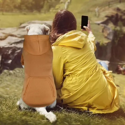 Coco Pup Brun Sweat à Capuche pour chien Taille XL