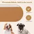 Coco Pup Brun Sweat à Capuche pour chien Taille XL