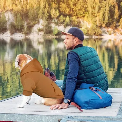 Coco Pup Brun Sweat à Capuche pour chien Taille XL
