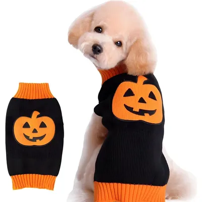 Coco Pup Pull-over pour chien Citrouille M