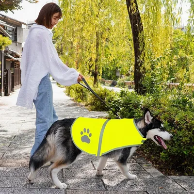 Coco Pup Chaleco reflectante para perros, verde fluorescente - Mediano