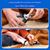 Coco Pup Broyeur à ongles pour chien