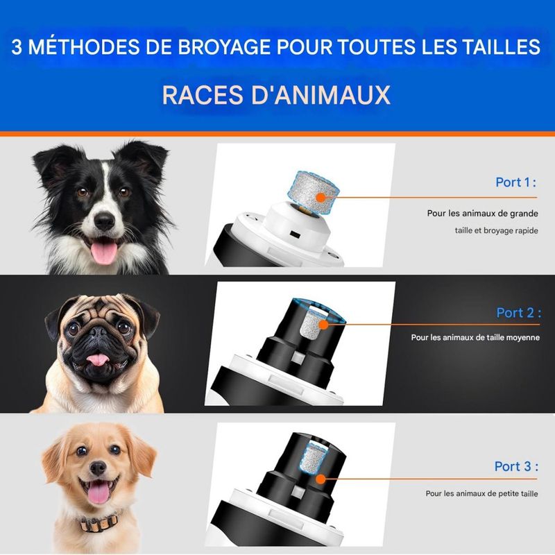 Coco Pup Broyeur à ongles pour chien