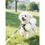 Coco Pup Gamelle pliable pour chien 2 pièces