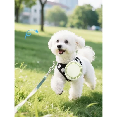 Coco Pup Gamelle pliable pour chien 2 pièces Coco Pup Gamelle pliable pour chien 2 pièces
