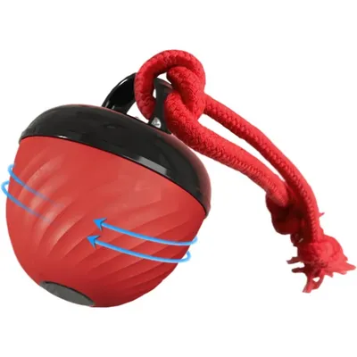 Coco Pup Balle interactive pour chien