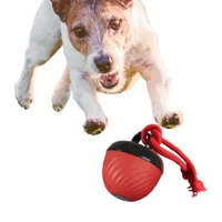 Coco Pup Balle interactive pour chien