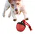 Coco Pup Balle interactive pour chien