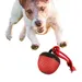 Coco Pup Balle interactive pour chien