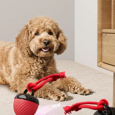 Coco Pup Balle interactive pour chien