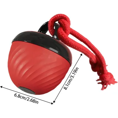 Coco Pup Balle interactive pour chien