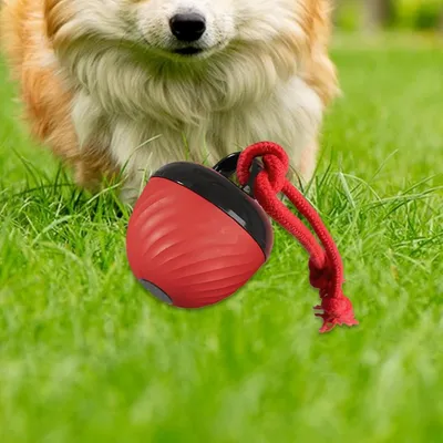 Coco Pup Balle interactive pour chien
