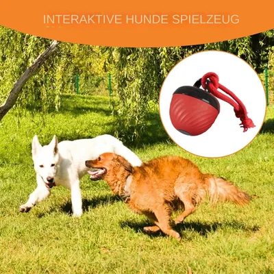 Coco Pup Balle interactive pour chien