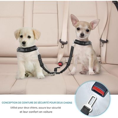 Coco Pup Double  2 Chiens Ceintures de Sécurité
