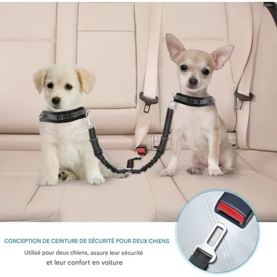 Coco Pup Double  2 Chiens Ceintures de Sécurité