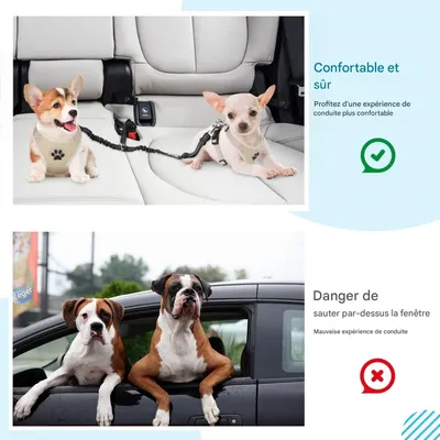 Coco Pup Double  2 Chiens Ceintures de Sécurité