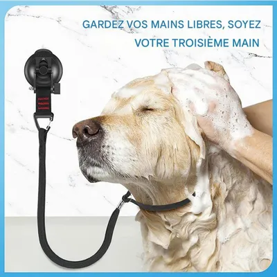 Coco Pup Corde de traction à ventouse