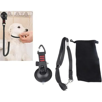 Coco Pup Corde de traction à ventouse