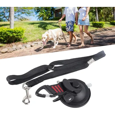 Coco Pup Corde de traction à ventouse