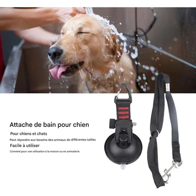Coco Pup Corde de traction à ventouse