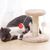 Coco Pup  Arbre à chat Petit Apportez des jouets