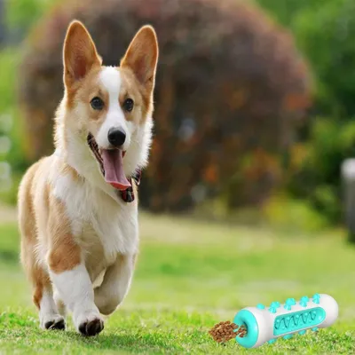 Coco Pup Jouet à mâcherbrosse pour chien
